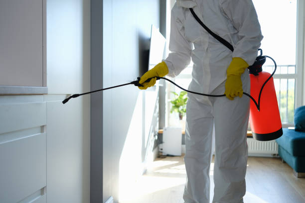 Best Localized Mold Remediation (e.g., coastal areas, humid climates) in Rainier, WA