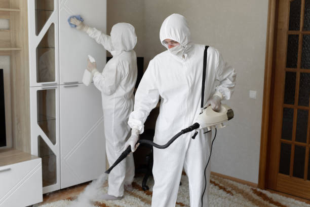 Reliable Rainier, WA Mold Remediation Solutions