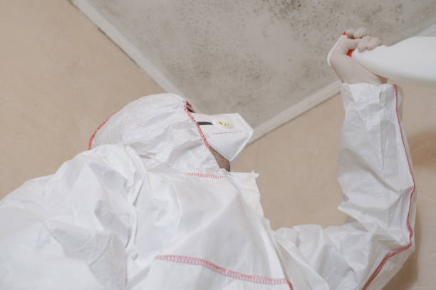 Best Bathroom Mold Remediation in Rainier, WA